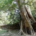 DSC04278
